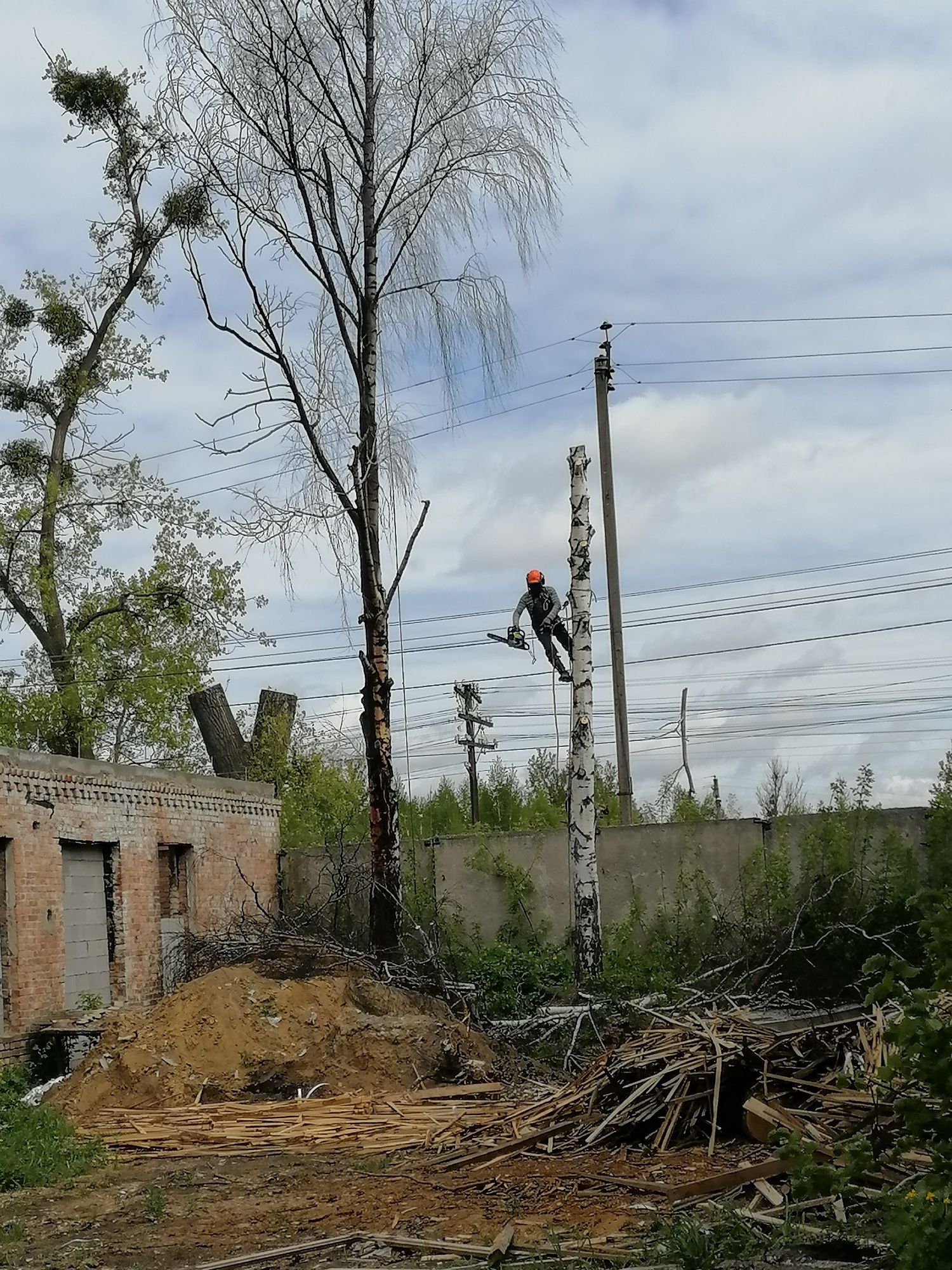 зрізання  дерев обрізка, спил, авто вишка, розчистка удаления дерев