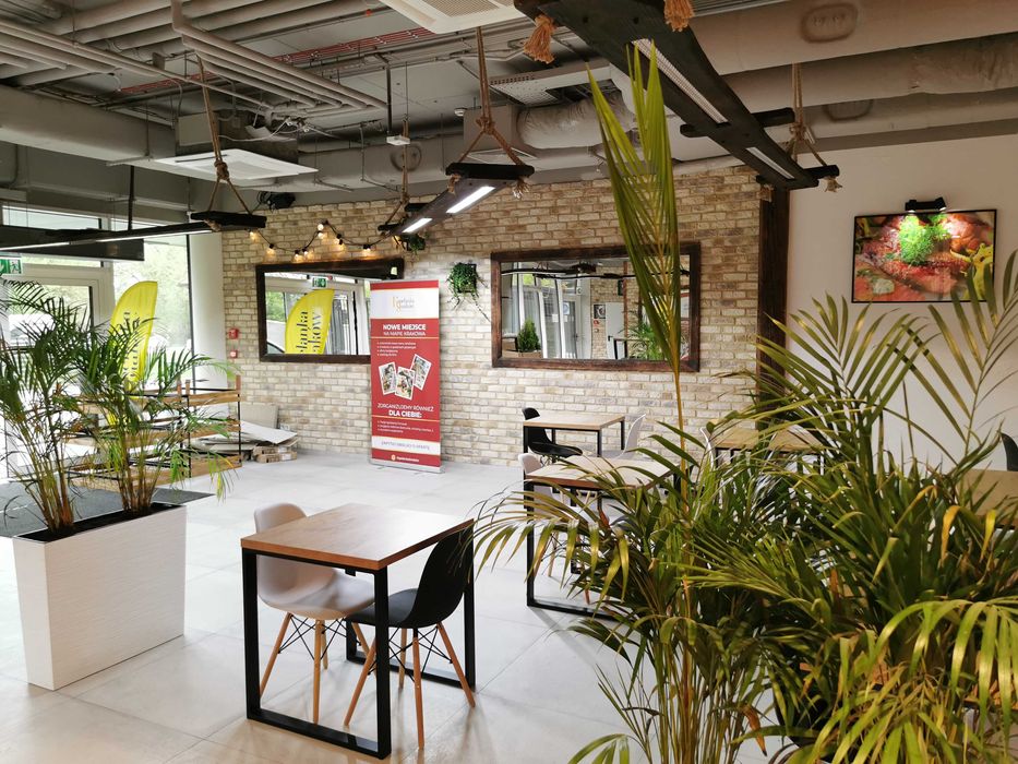 Podnajem działającej restauracji - 342mkw w cenie 7000/miesiąc