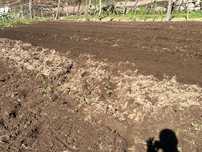 Limpeza de terrenos/ serviços agrícolas