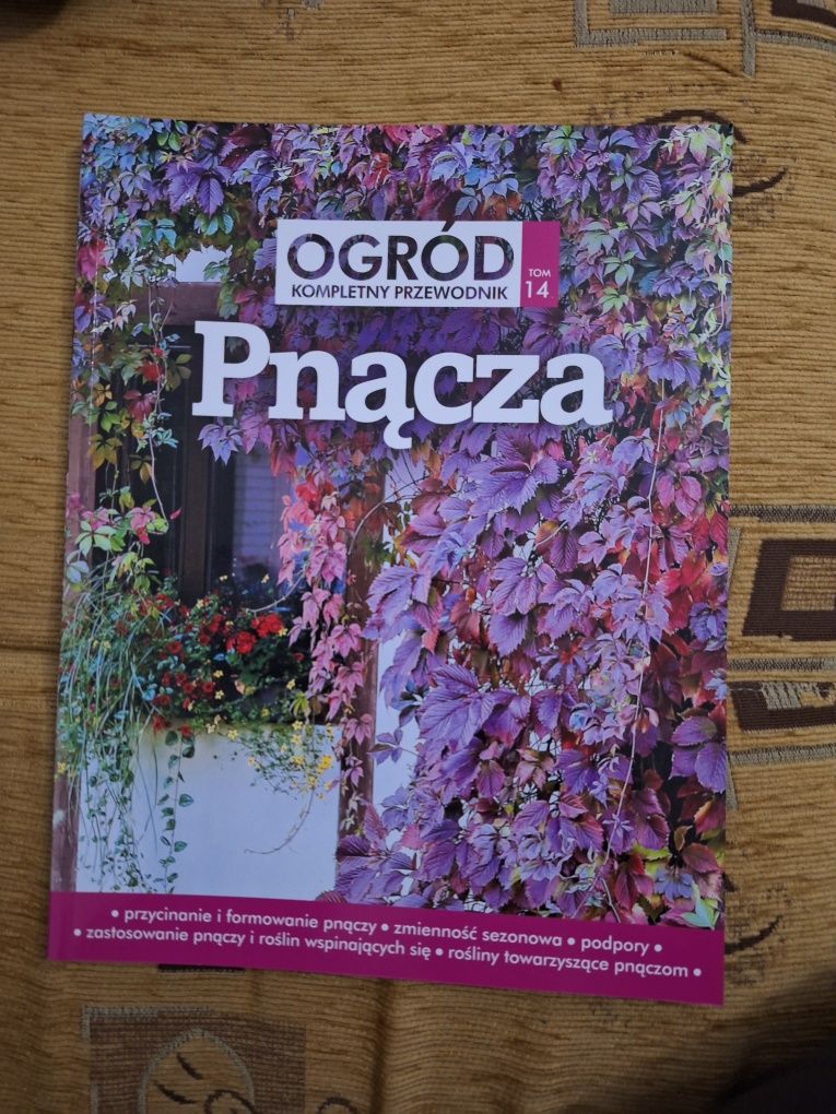 Ogród kompletny przewodnik  Pnącza