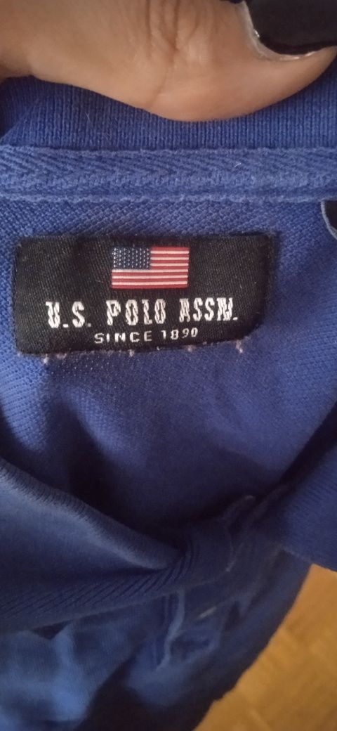 Polo U.S Polo ASSN