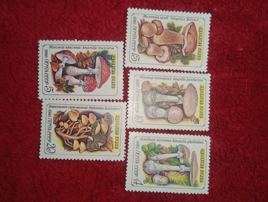 Почтовые марки   на