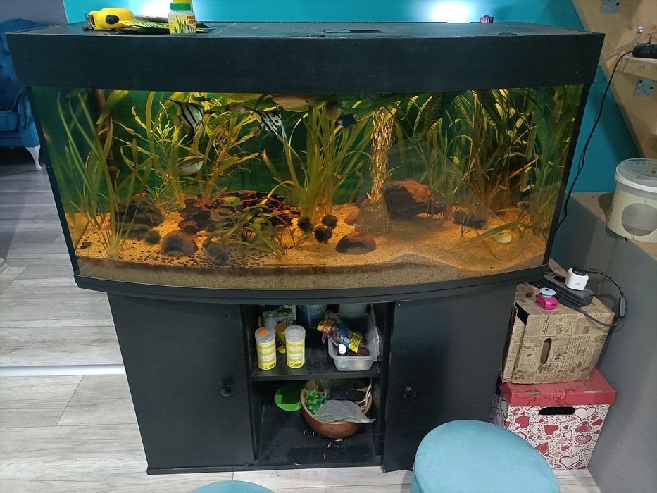 Sprzedam  akwarium 240l
