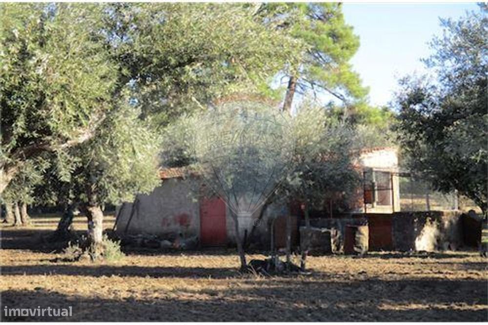 Quinta T0 para venda