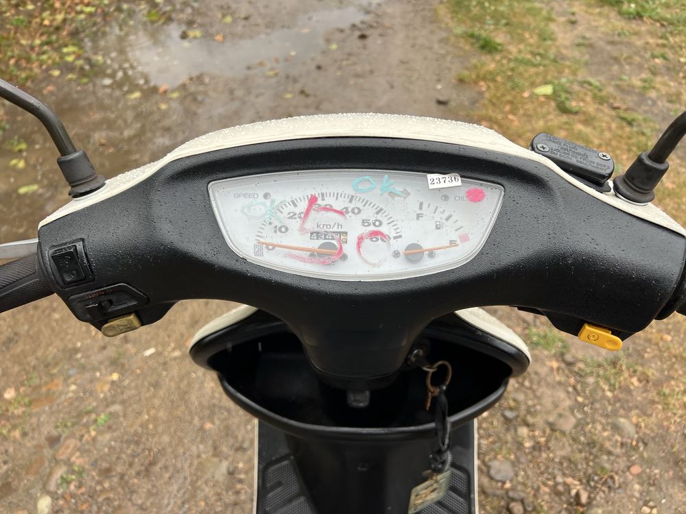 Honda Dio 35 ZX Свіжий