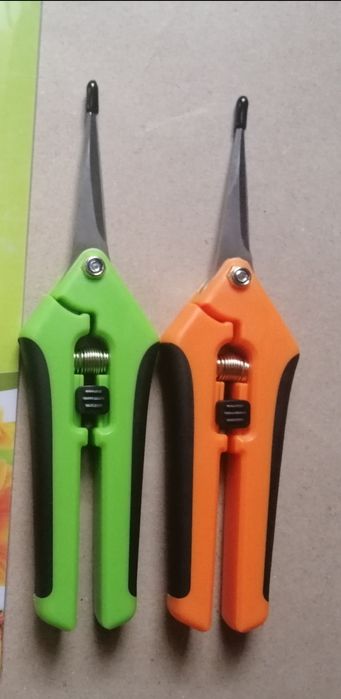 Сікатор-ножиці для кімнатних рослин.