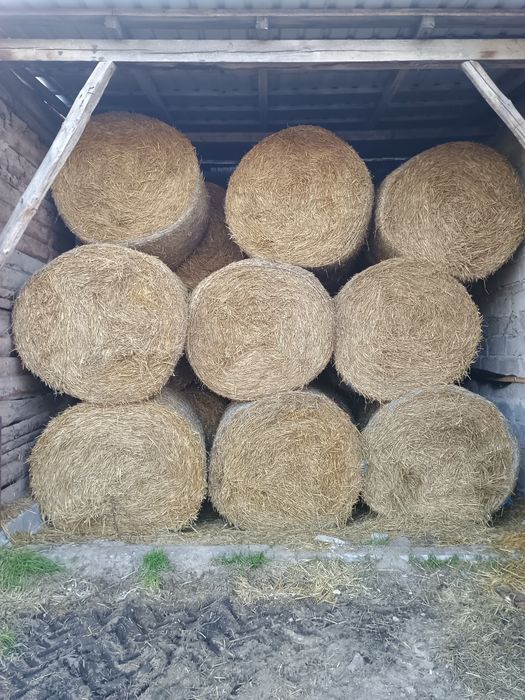 Sprzedam słome 120