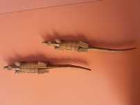 Escultura em madeira Crocodilos