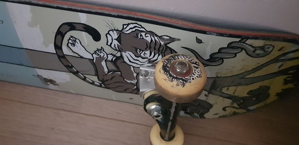 Reservado /Skate usado Element