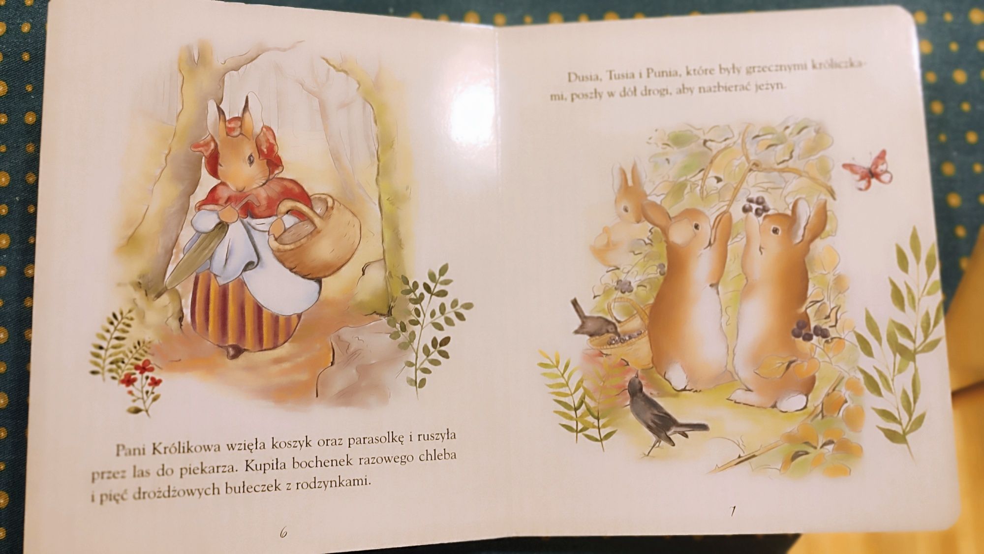 Piotruś królik. Beatrix Potter. Książeczka w twardych okładkach.