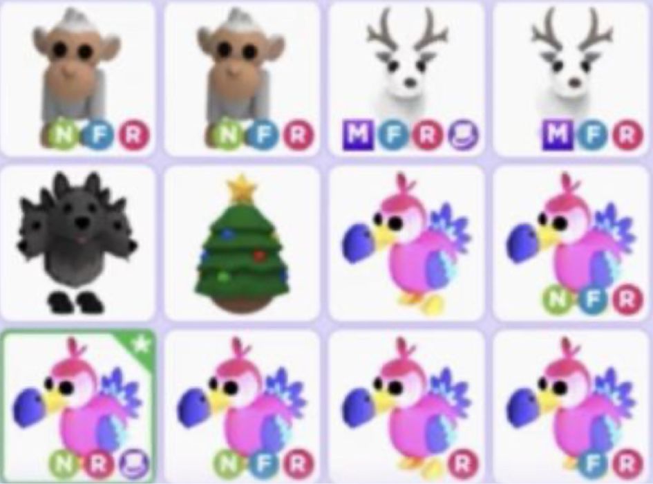 Adopt me петы пети пэты не дорого