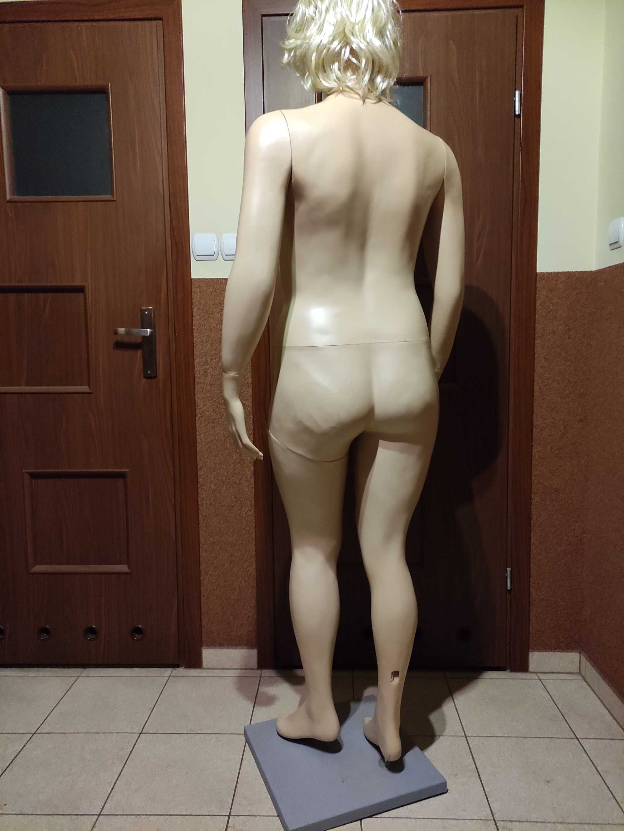 Manekin XXL kobieta