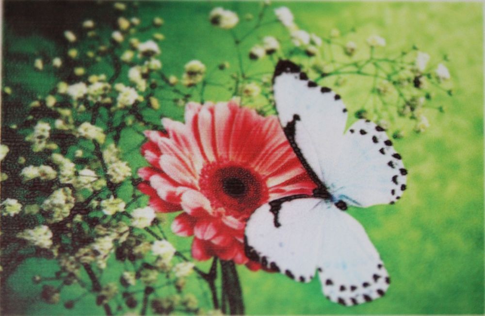 Haft diamentowy 30x40 obraz na ramie motyl i kwiaty