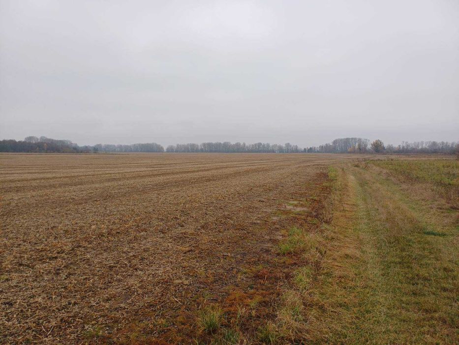 Земельна ділянка, площею 20.6423 га., Київська обл.