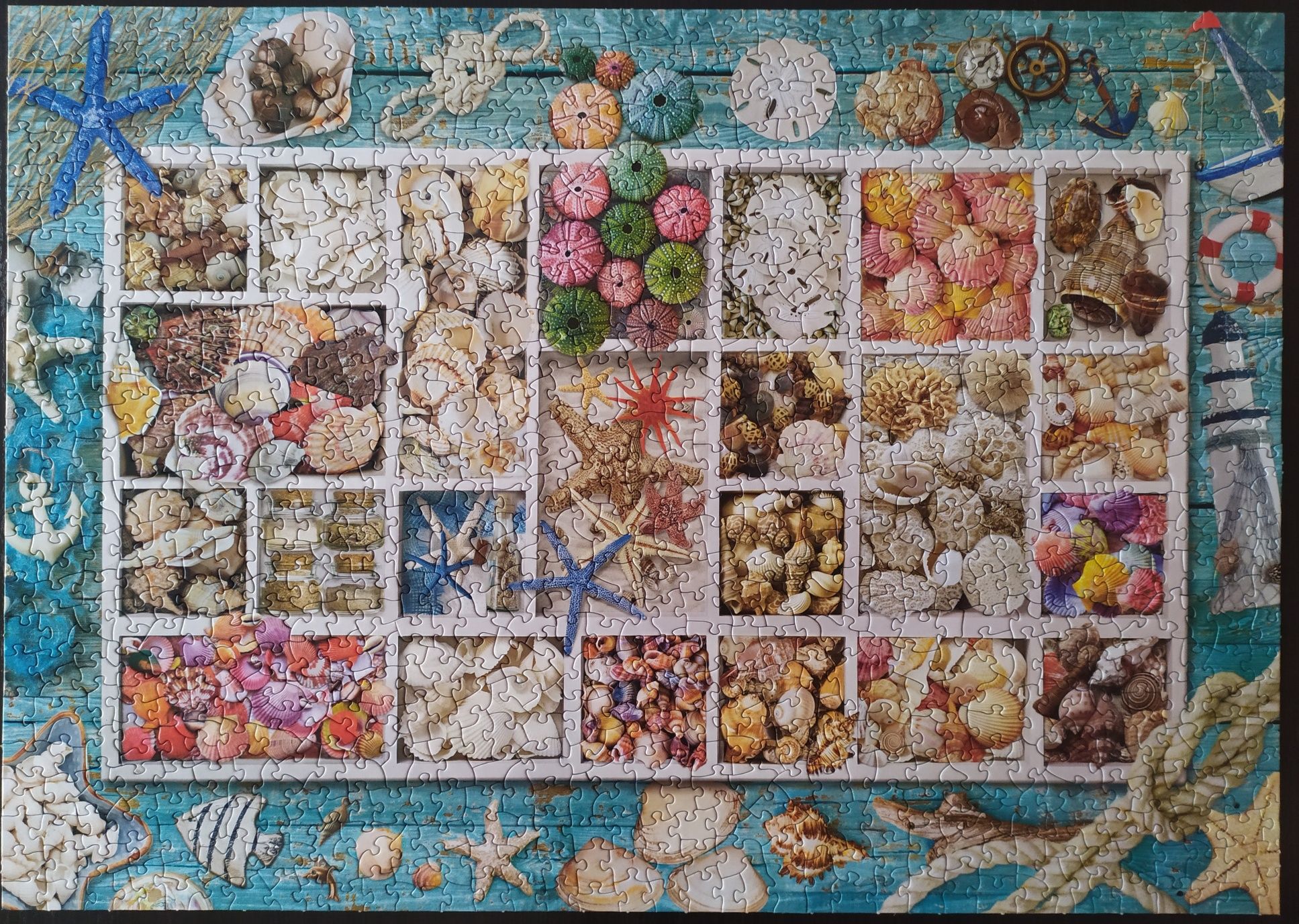 Puzzle Eurographics 1000 Seashell collection Smart cut