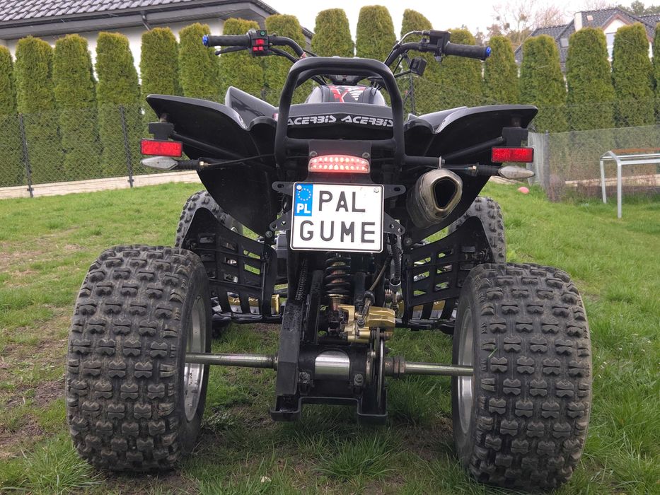 Quad Barton Warrior 250