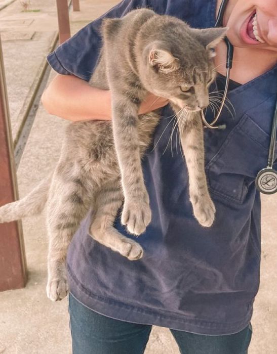 Petsitting ( com servicos acrescidos )