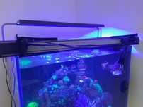 Lampe led akwarium morskie belka led 32w aquael blue