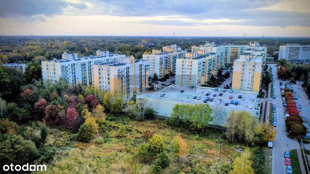 Wysoki parter. Możliwość wydzielenia 3 pokoju.