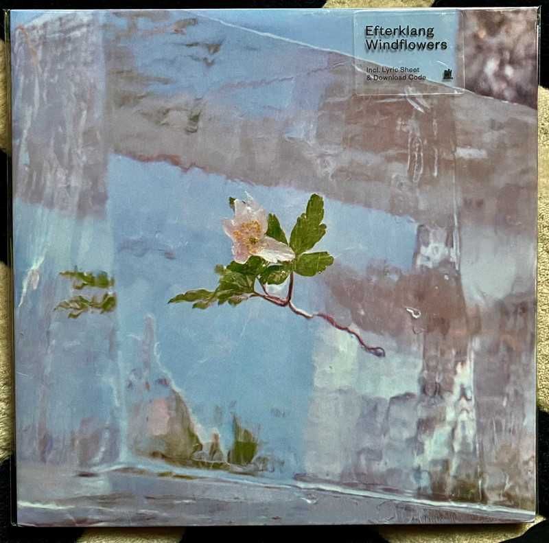 Efterklang - Windflowers - Vinyl