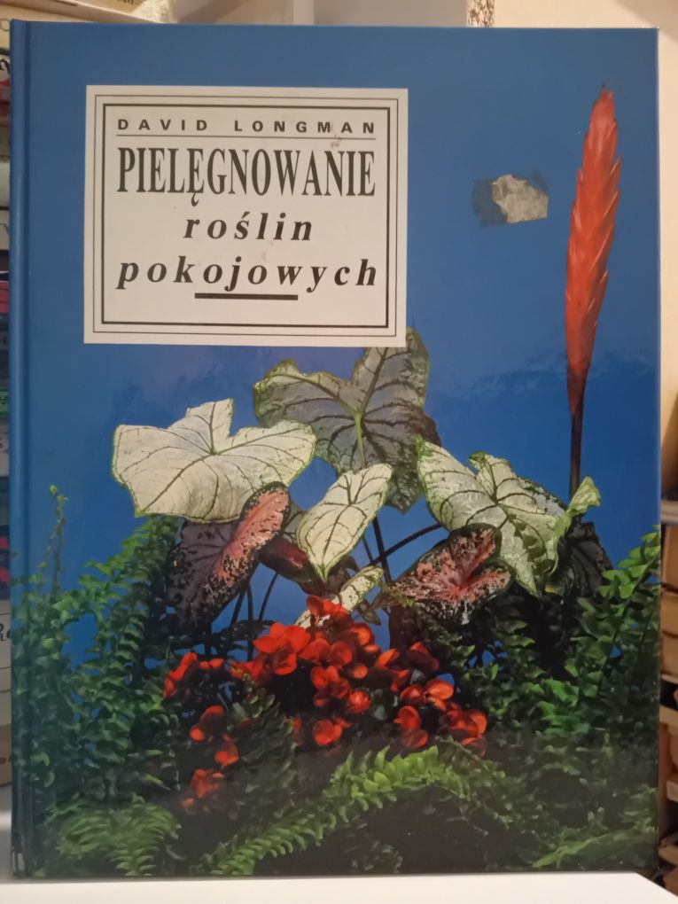 David Longman Pielęgnowanie roślin pokojowych