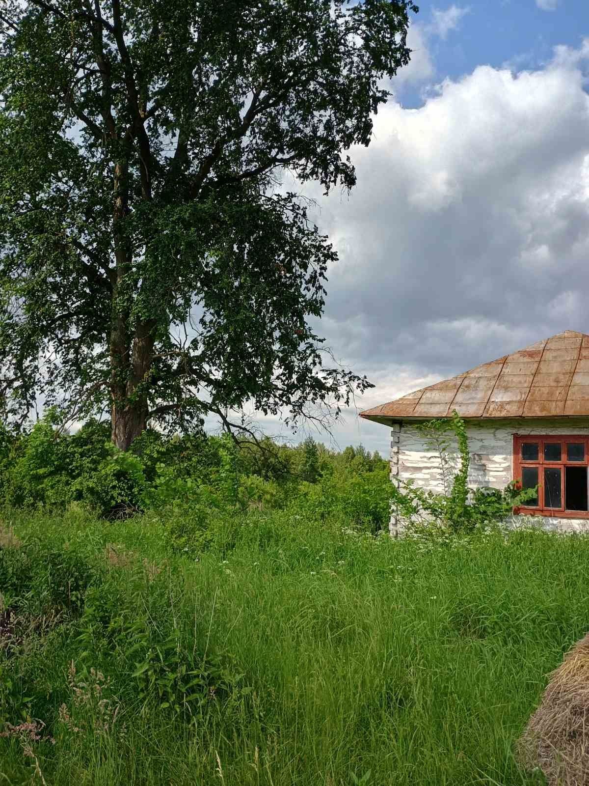 Продаж будинок, земля 55соток, дача
