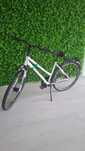 Rower  Pegasus Solero SL