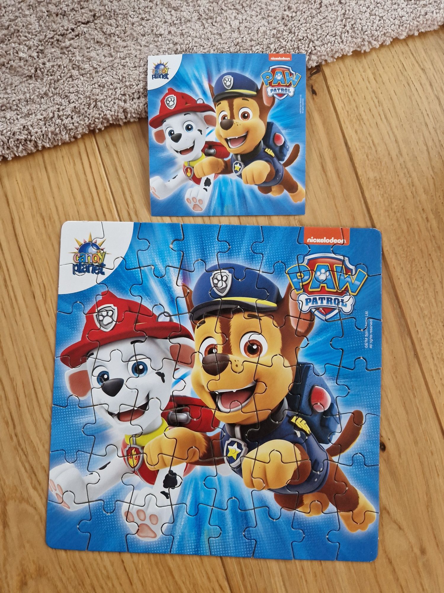 Puzzle Psi Patrol