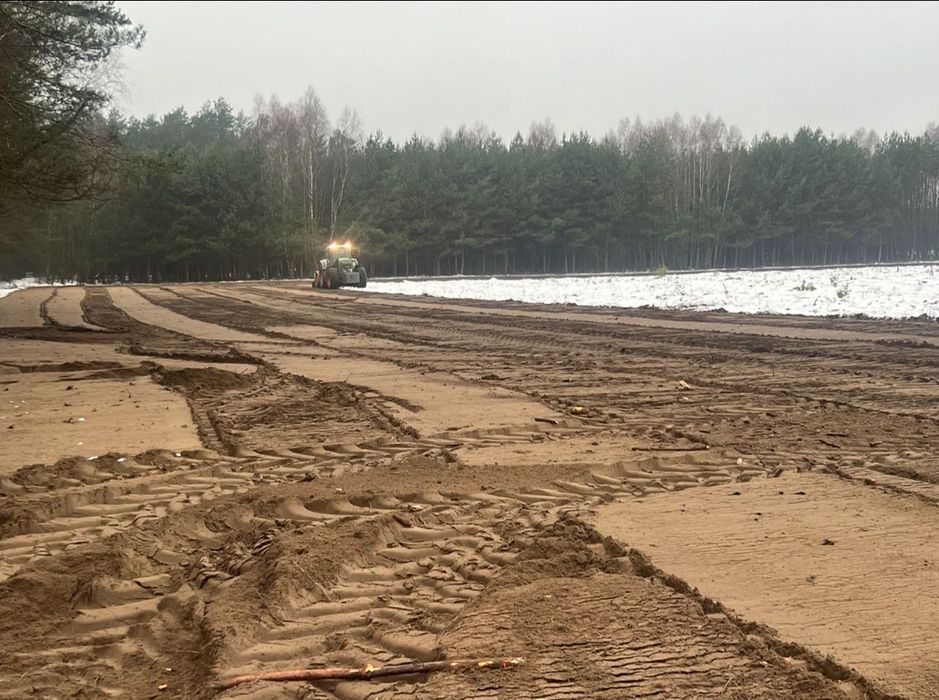frezowanie pni, mulczer, rekultywacja zrób z lasu pole najlepszy wybór