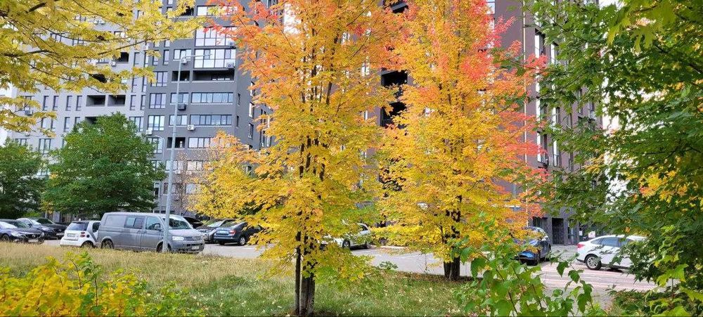 2-кім. квартири в сучасному ЖК Paradise Avenue — комфорт+ у деталях