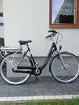 Rower elektryczny Sparta emotion C4 rt