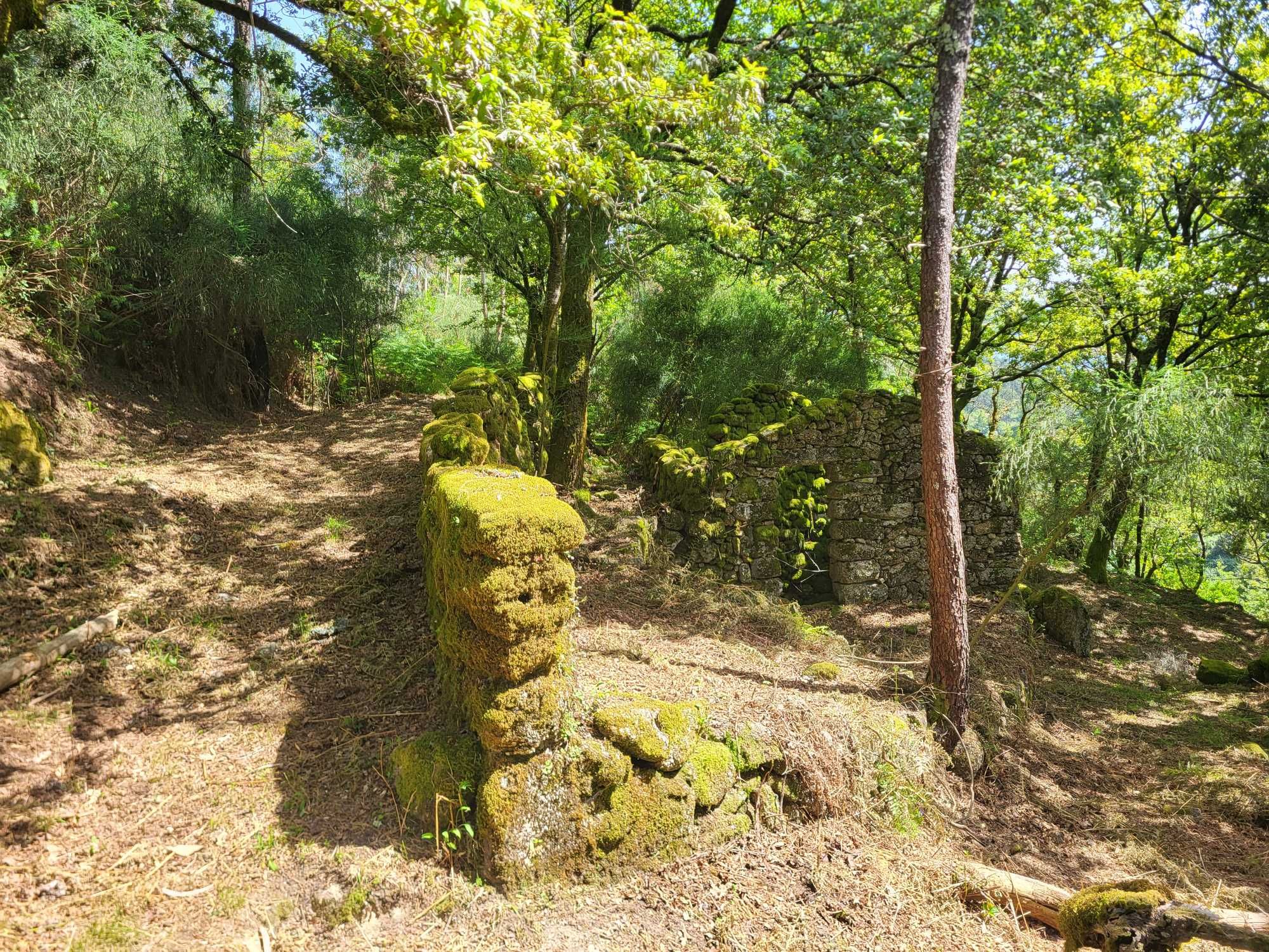 Terreno no Gerês com Ruína e Mina 3 Artigos 8.100m²