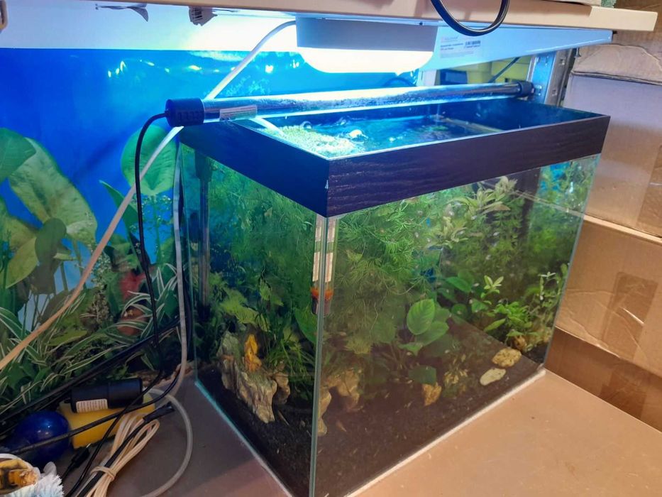 Продам акваріум в зборі Аквакомплект