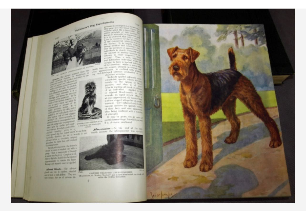 3-tomowa ENCYKLOPEDIA PSÓW Hutchinsona. Londyn 1935