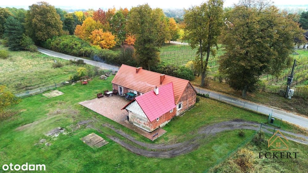 GÓRZYKOWO | Dom + działki budowlane (0,7886 ha)