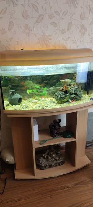 Аквариум с тумбочкой (100 литров)