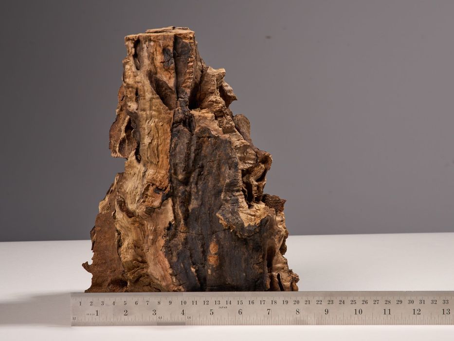 Peça de madeira para decoração ou aquários