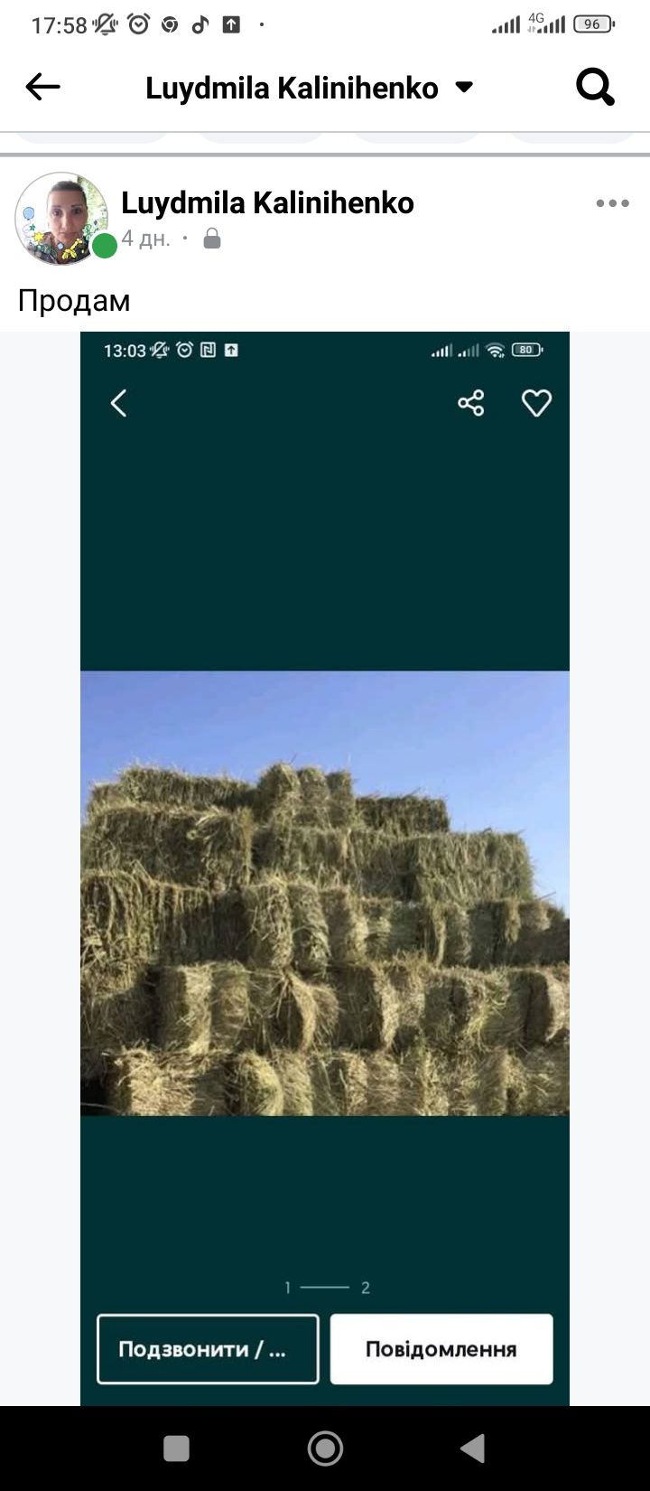 Сіно люцерки в тюках