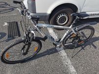 Rower bulls sl 400