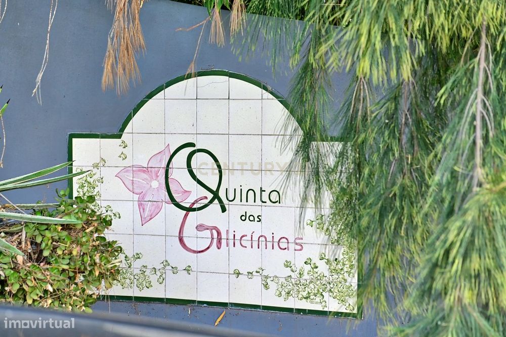Quinta das Glicínias entre as vinhas de Palmela e as planícies Alentej
