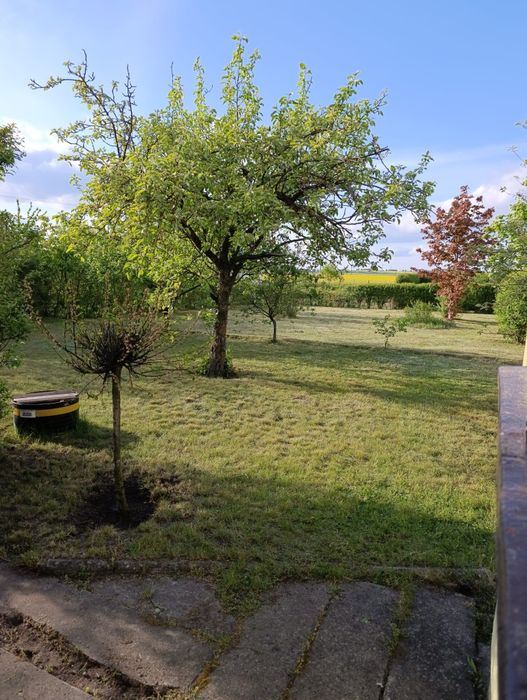 Działka Rod-duża.Okazja!