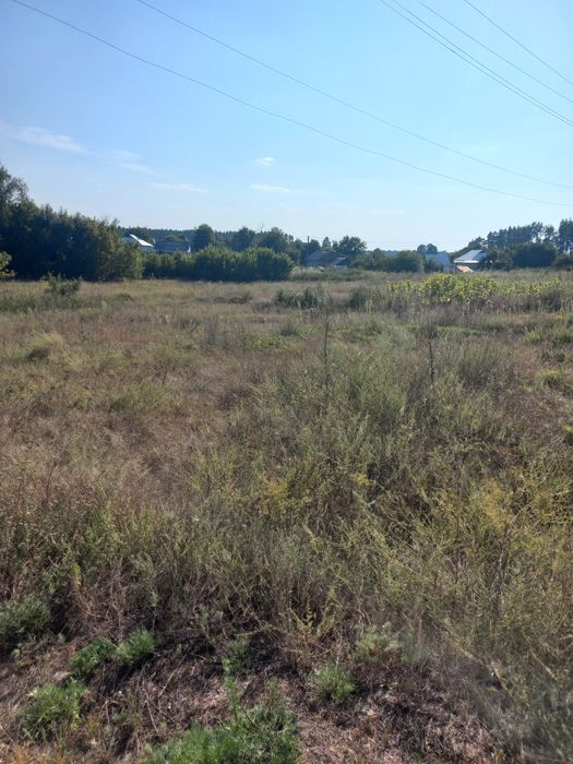 Земельна ділянка