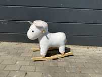 Konik na biegunach