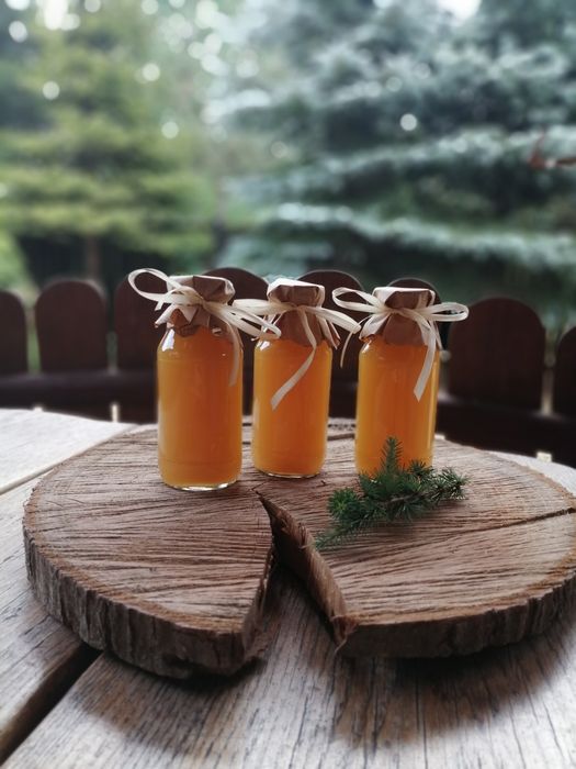 Syrop młode pędy modrzewia