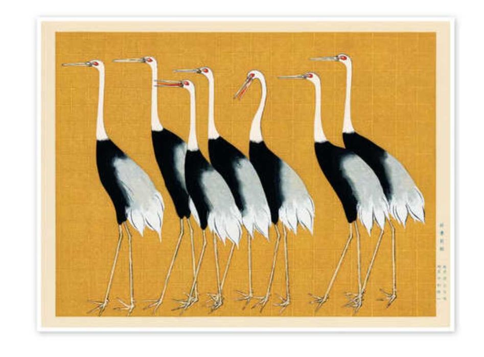 Póster Flock of Japanese Red Crown Cranes - NOVO