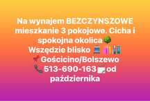 Na wynajem bezczynszowe 3 pokojowe mieszkanie ok 50m3