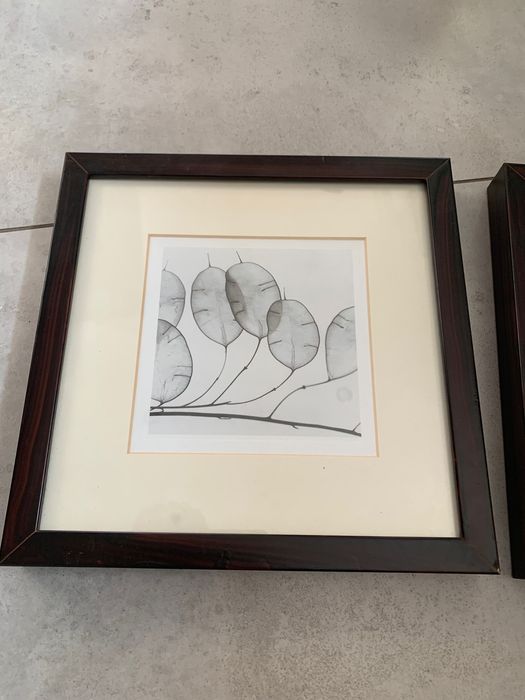 2 obrazki w brązowych ramach