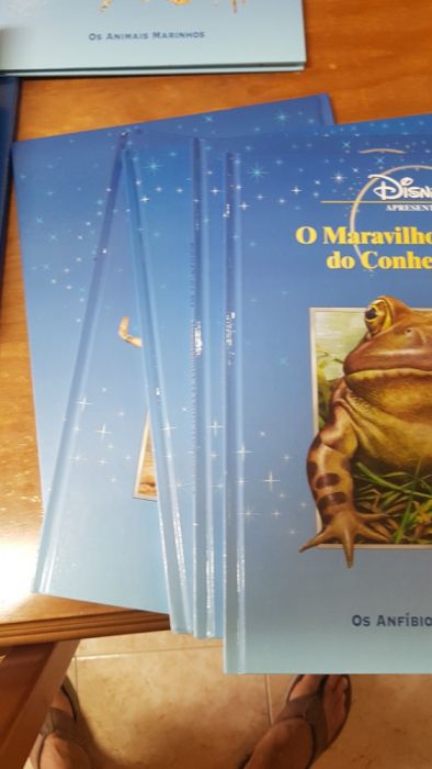 24 LIVROS disney maravilhoso mundo do conhecimento