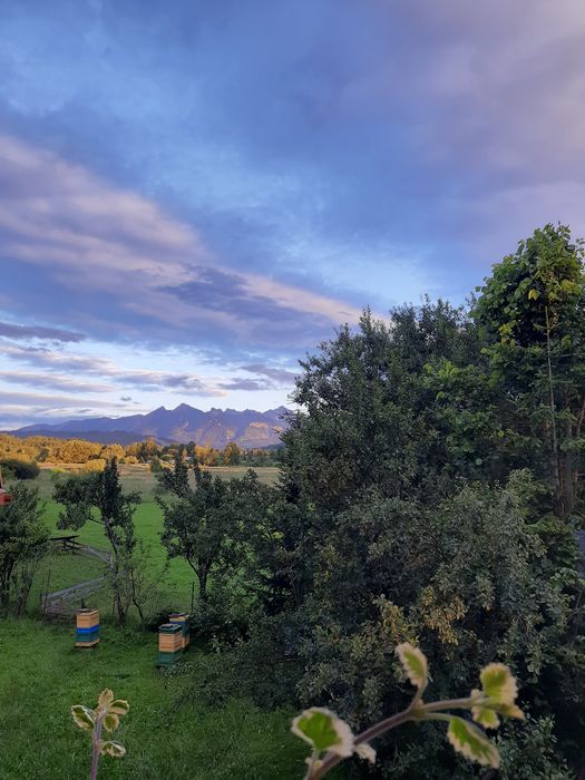Pokoje gościnne w Czarnej Górze, kwatery prywatne