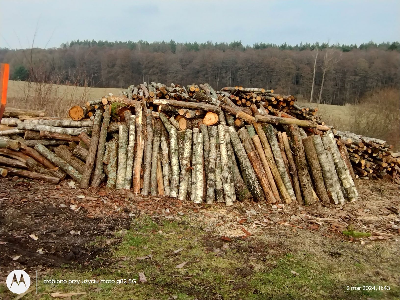 Sprzedam drzewo opałowe w całości lub rąbane